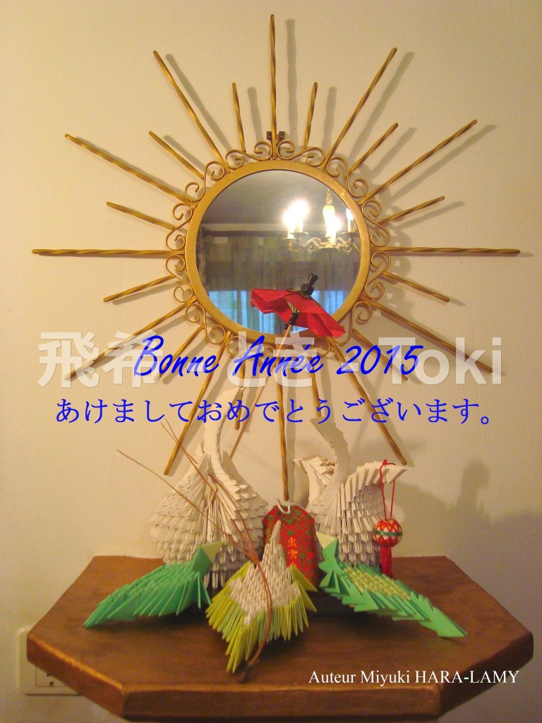 1-Bonne année 2015-toki